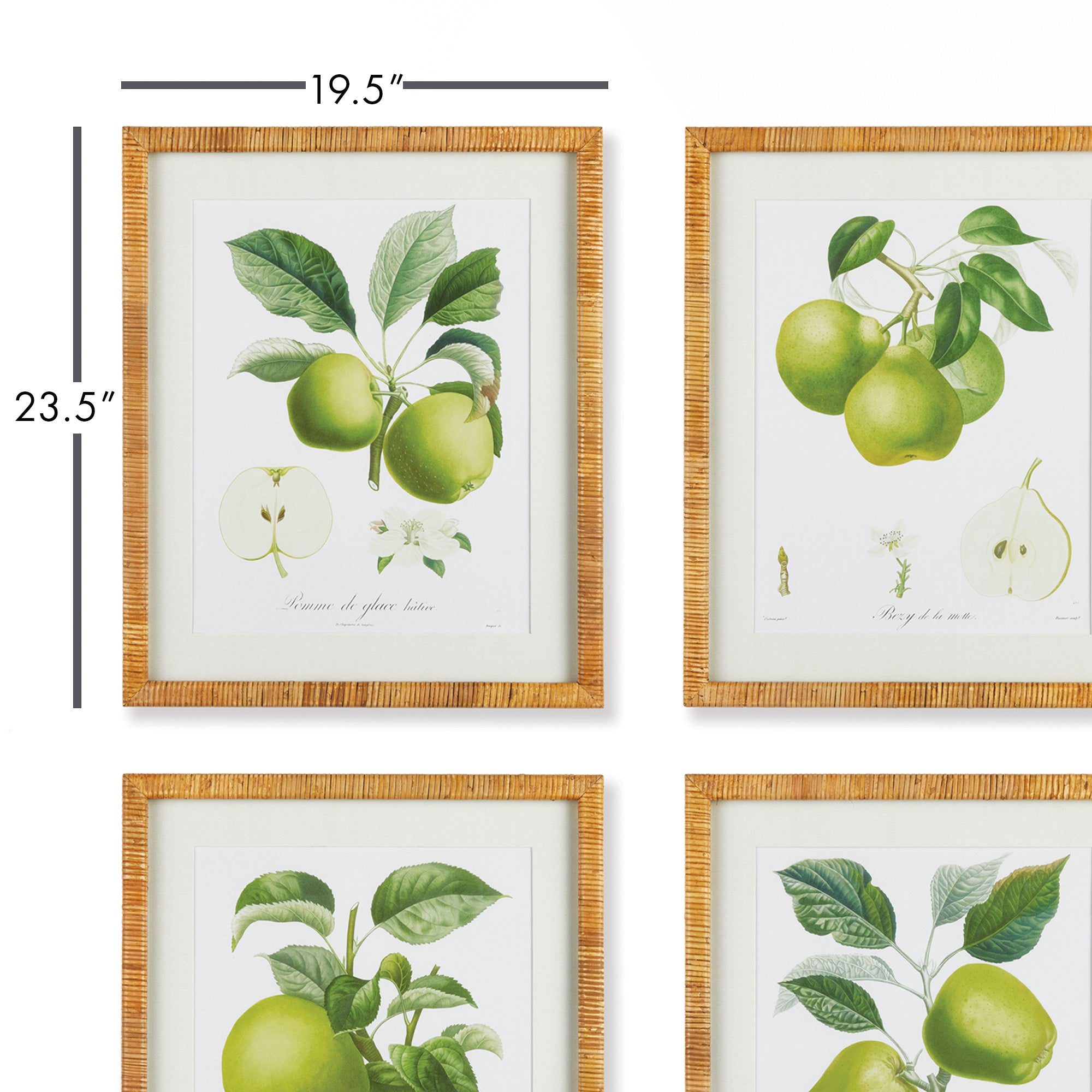 FRUIT STUDY, SET OF 4 - view 2
