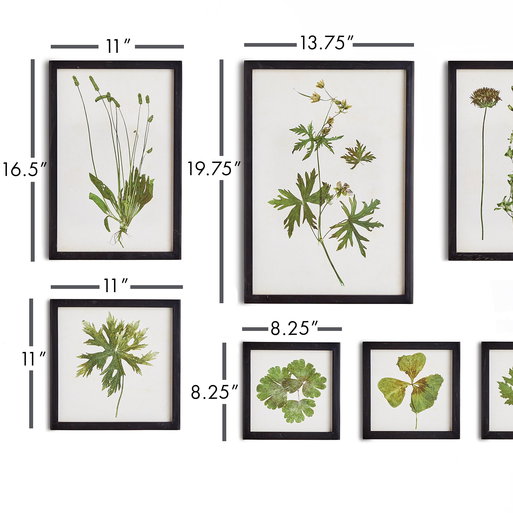 Foliage Prints, Set Of 9 - View 2
