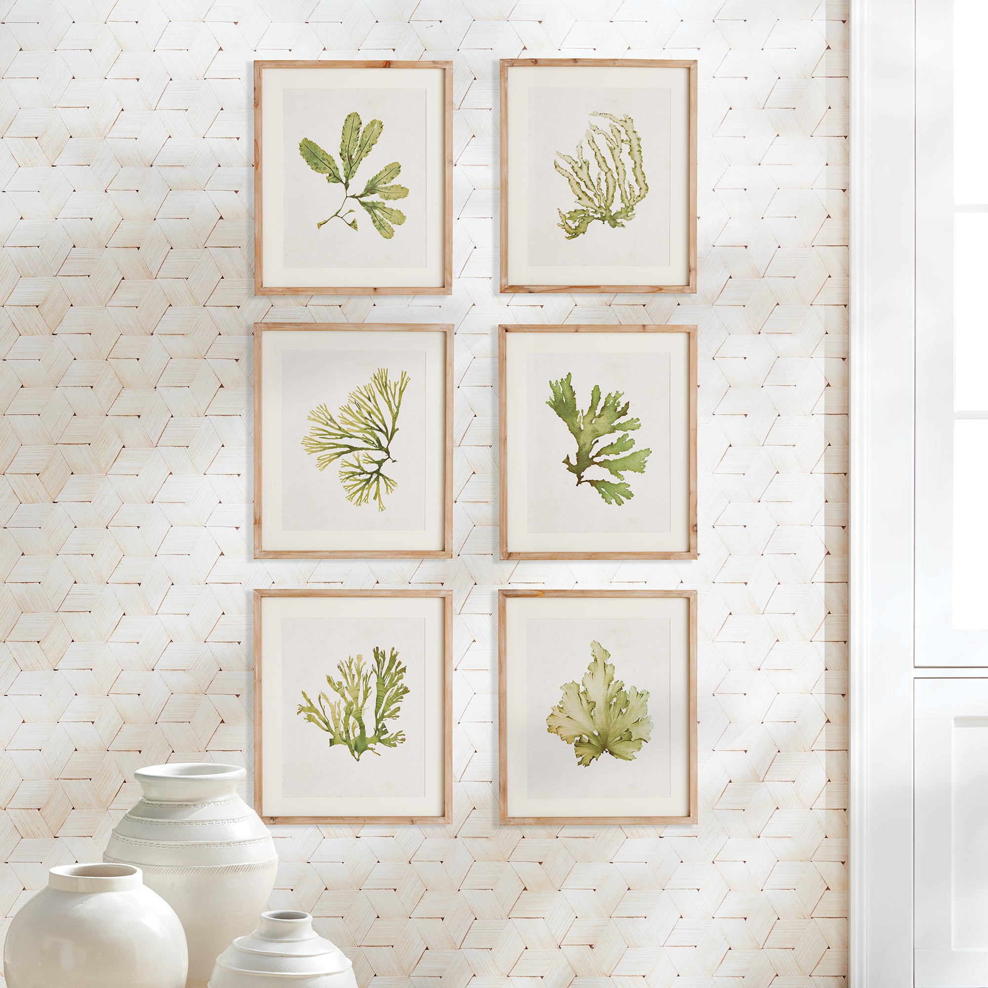 Kelp Prints, Set Of 6 - View 4