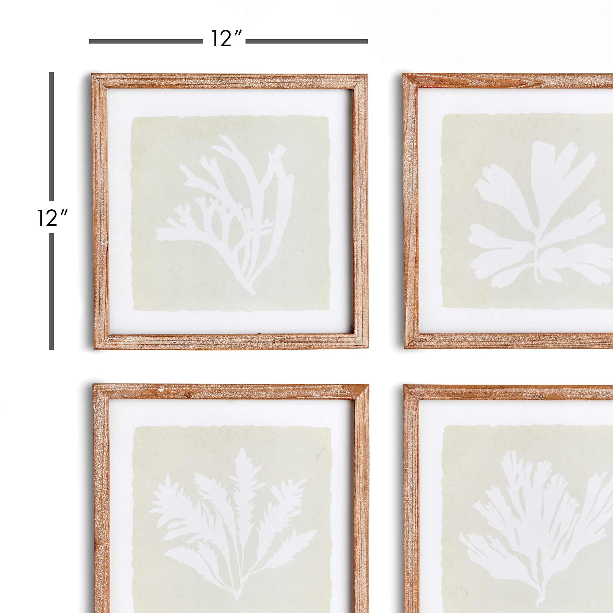 Seaweed Petite Prints, Set Of 4 - View 3