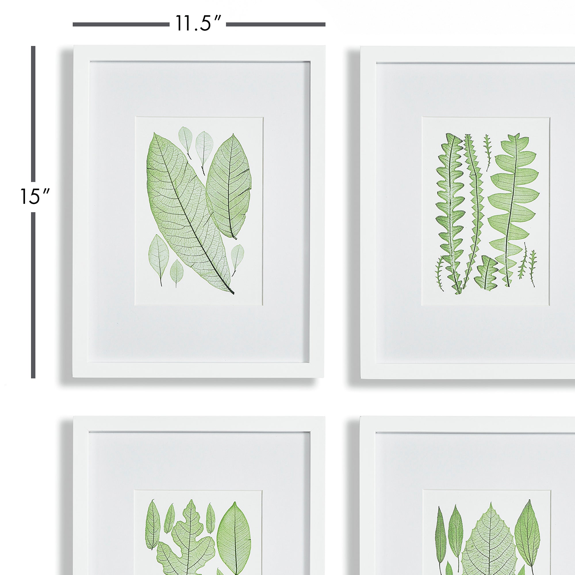 Assorted Leaf Prints, Set Of 4 - View 2