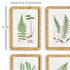 FOREST FERN PRINTS, SET OF 4 - view 2