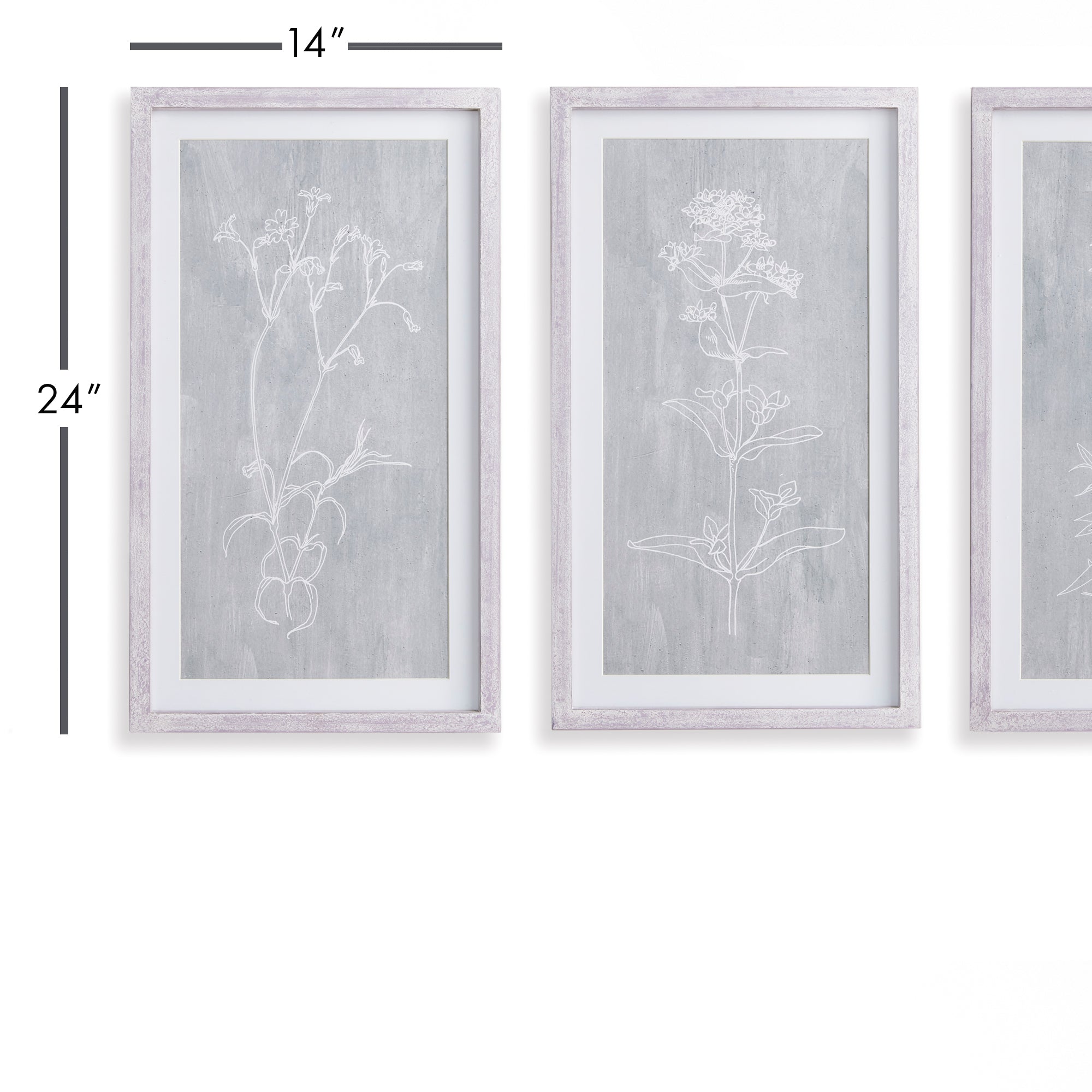 Sketched Botanical Prints, Set Of 3 - View 2