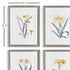 DAFFODIL PRINTS, SET OF 4 - view 2