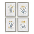DAFFODIL PRINTS, SET OF 4