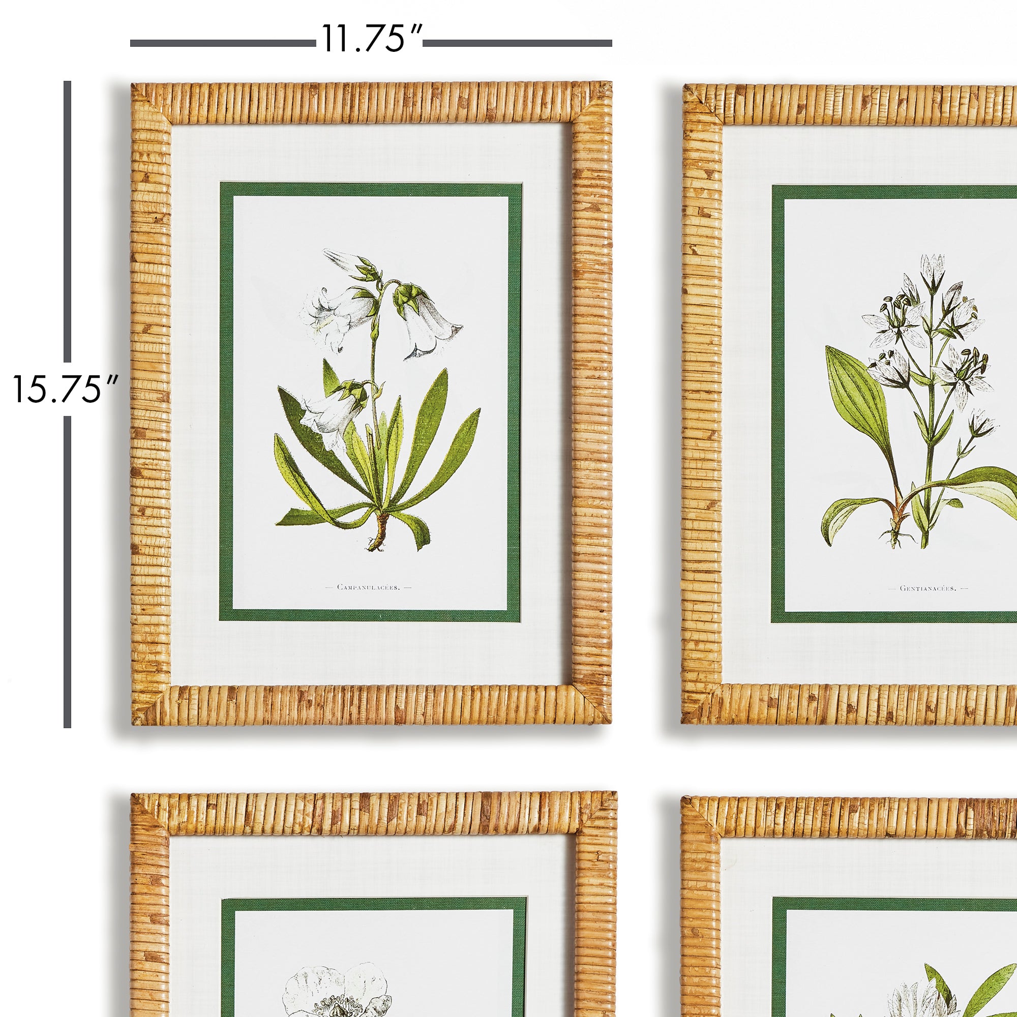 WHITE FLORAL STUDY, SET OF 4 - view 2