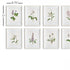 FLOWERS IN BLOOM PETITE PRINTS, SET OF 8 - view 2