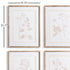 Blush Botanical Study, Set Of 4 - View 2