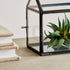 Cottage Terrarium Small - View 5