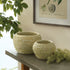 RIVERGRASS DECORATIVE FOOTED BOWLS, SET OF 2 - view 3