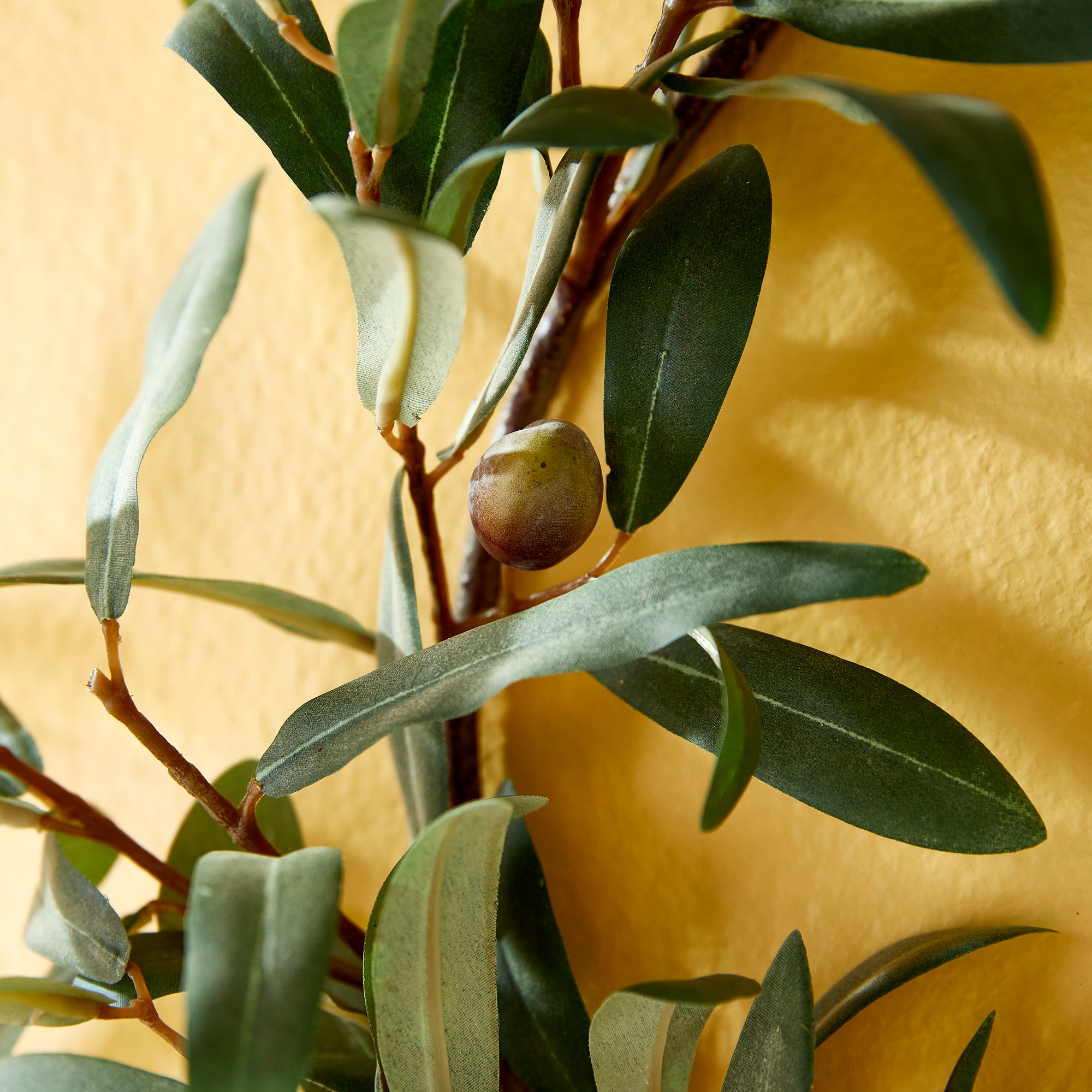 OLIVE WREATH WITH OLIVES 16" - view 3