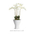 Larson Vase Short - View 6