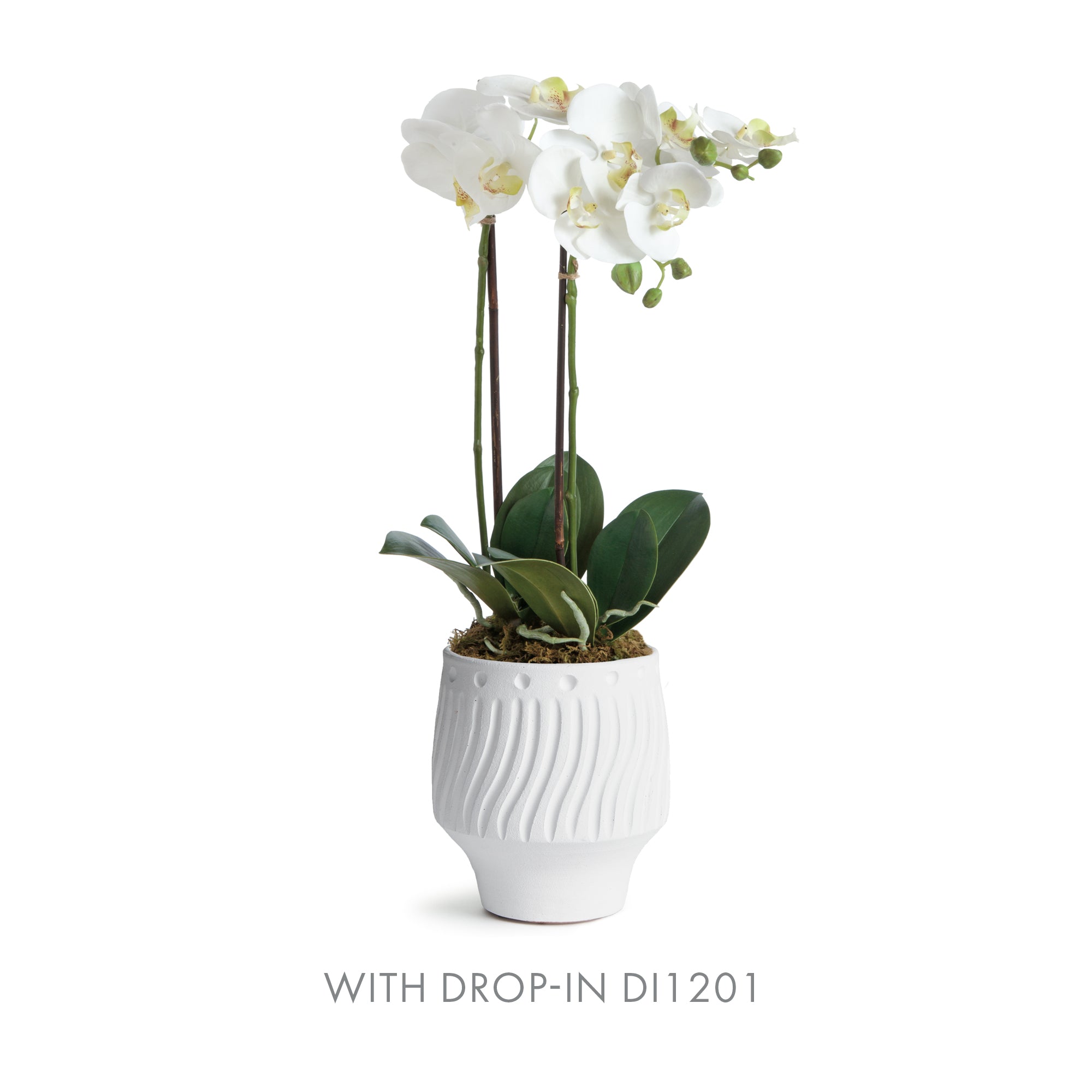LARSON CACHEPOT - view 4