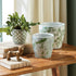 IMPERIAL FLOWER POTS, SET OF 3 - view 6
