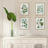 VERDANT BRANCH PRINTS, SET OF 4 - view 4