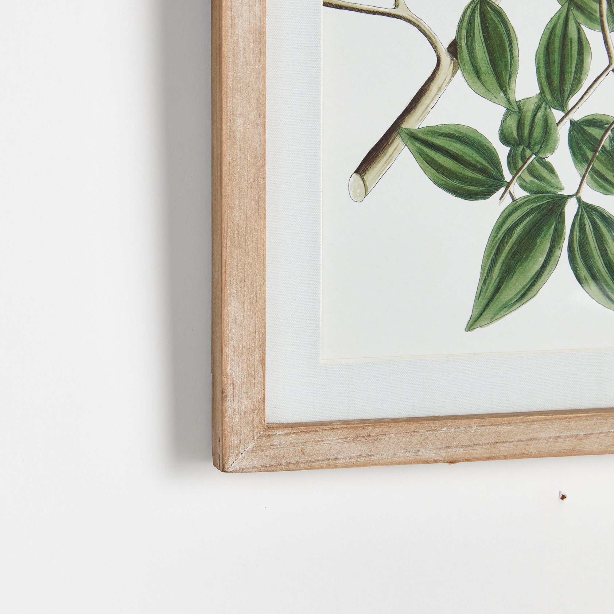 VERDANT BRANCH PRINTS, SET OF 4 - view 2