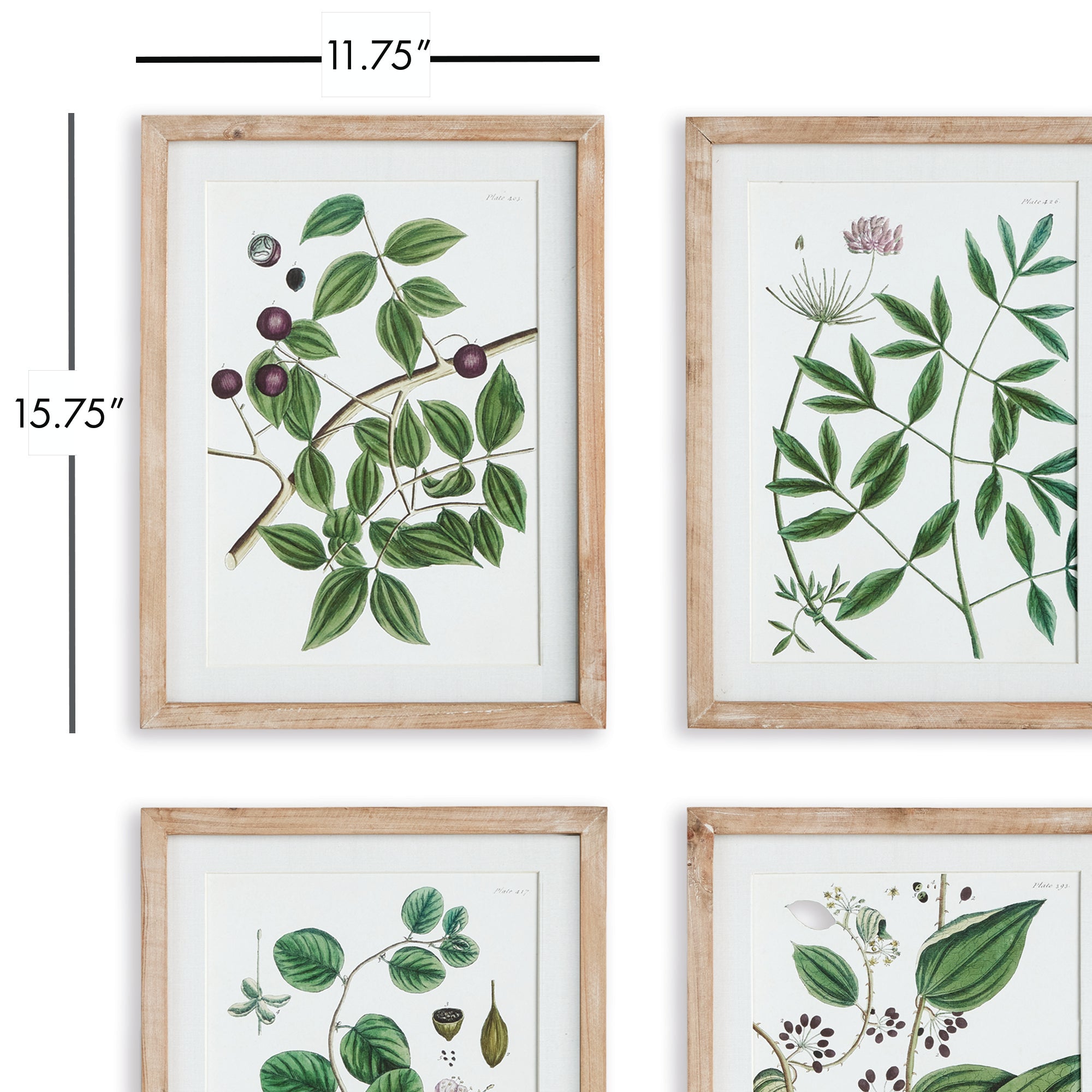 VERDANT BRANCH PRINTS, SET OF 4 - view 3