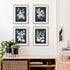Monochrome Botanical Prints, Set Of 4 - View 4