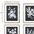 Monochrome Botanical Prints, Set Of 4 - View 3