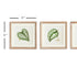 Leaf Cuttings Petite Prints, Set Of 3 - View 3