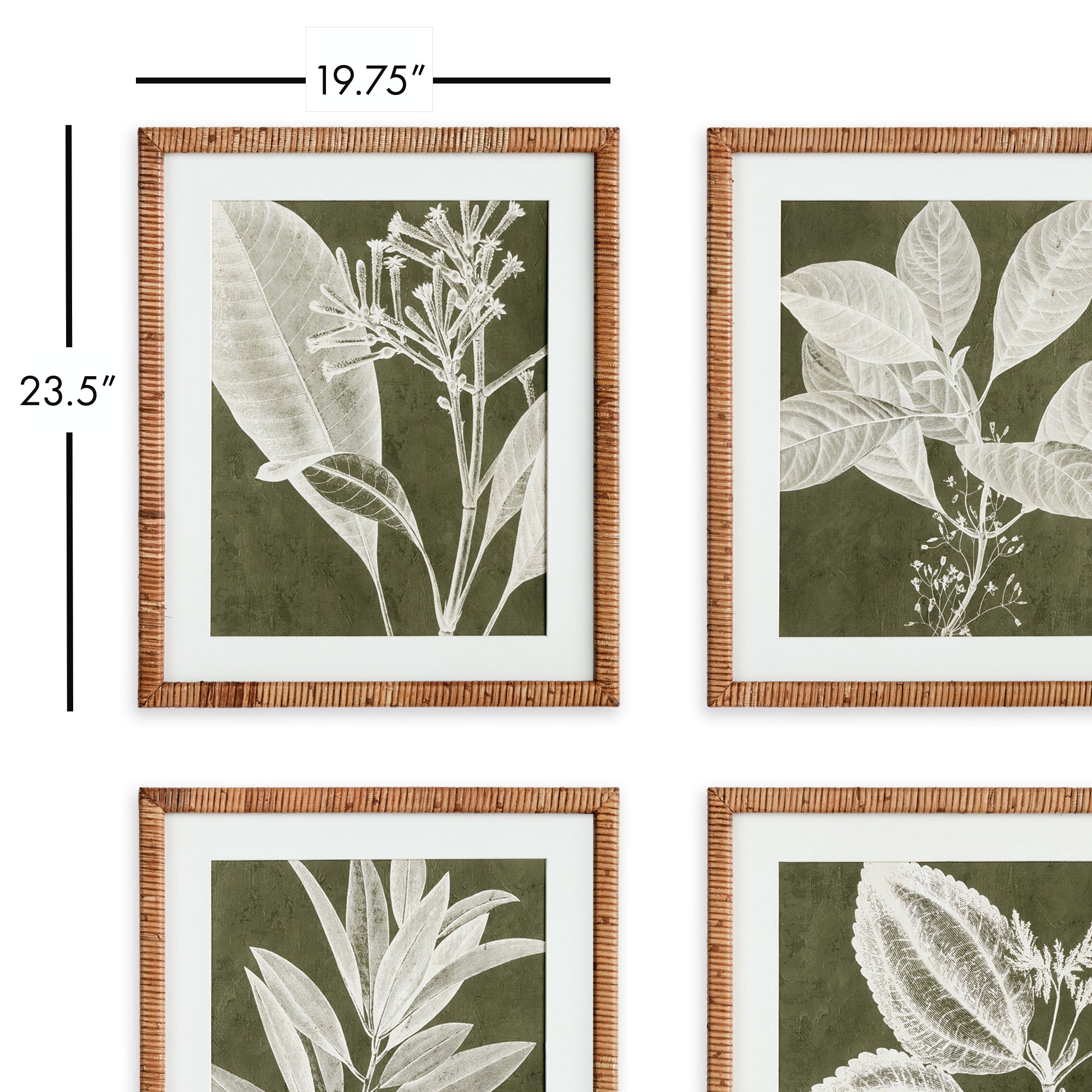 Translucent Stem Prints, Set Of 4 - View 3