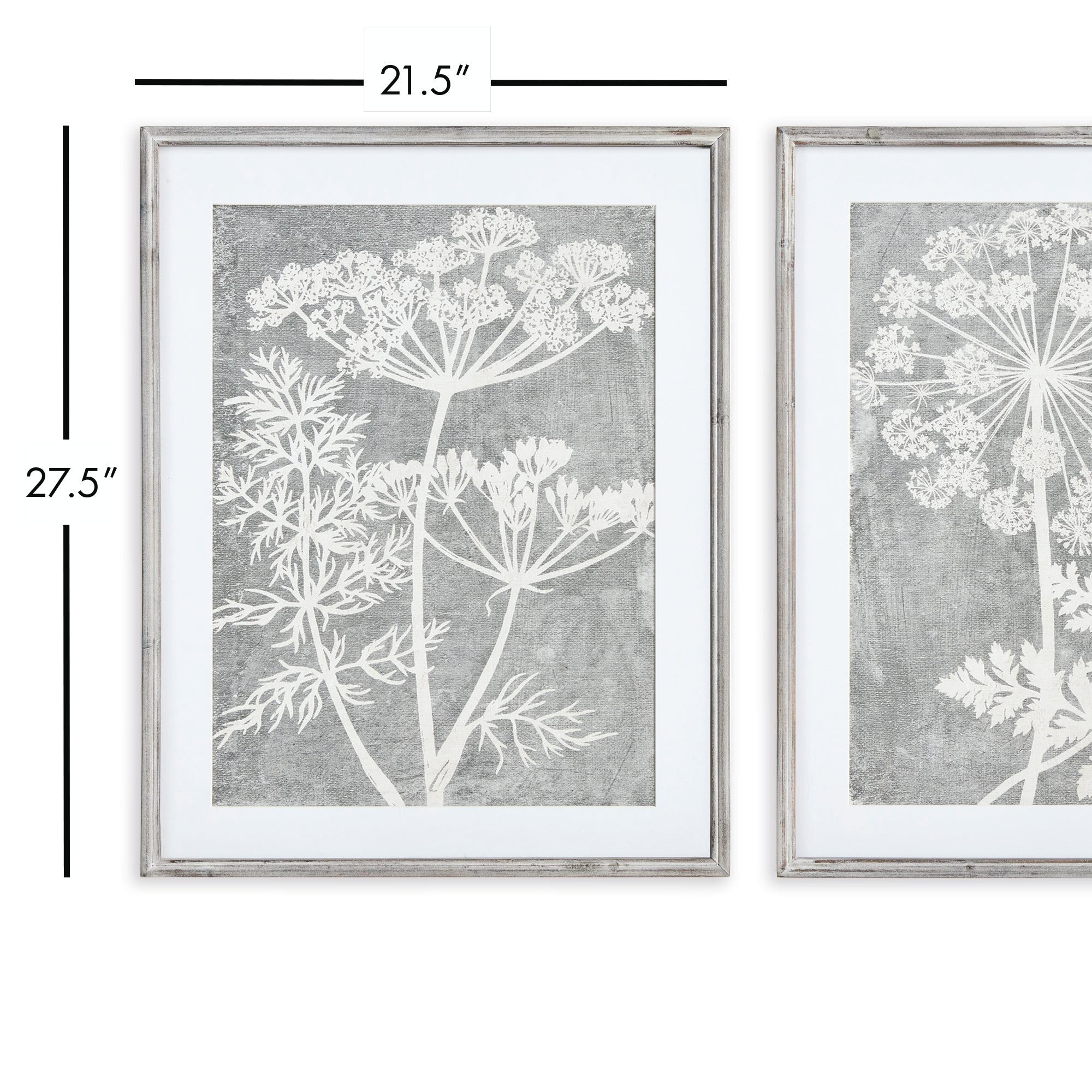 BLOOMING QUEEN ANNE'S LACE PRINTS, SET OF 2 - view 3