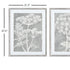 BLOOMING QUEEN ANNE'S LACE PRINTS, SET OF 2 - view 3