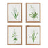 Garden Bloom Prints, Set Of 4