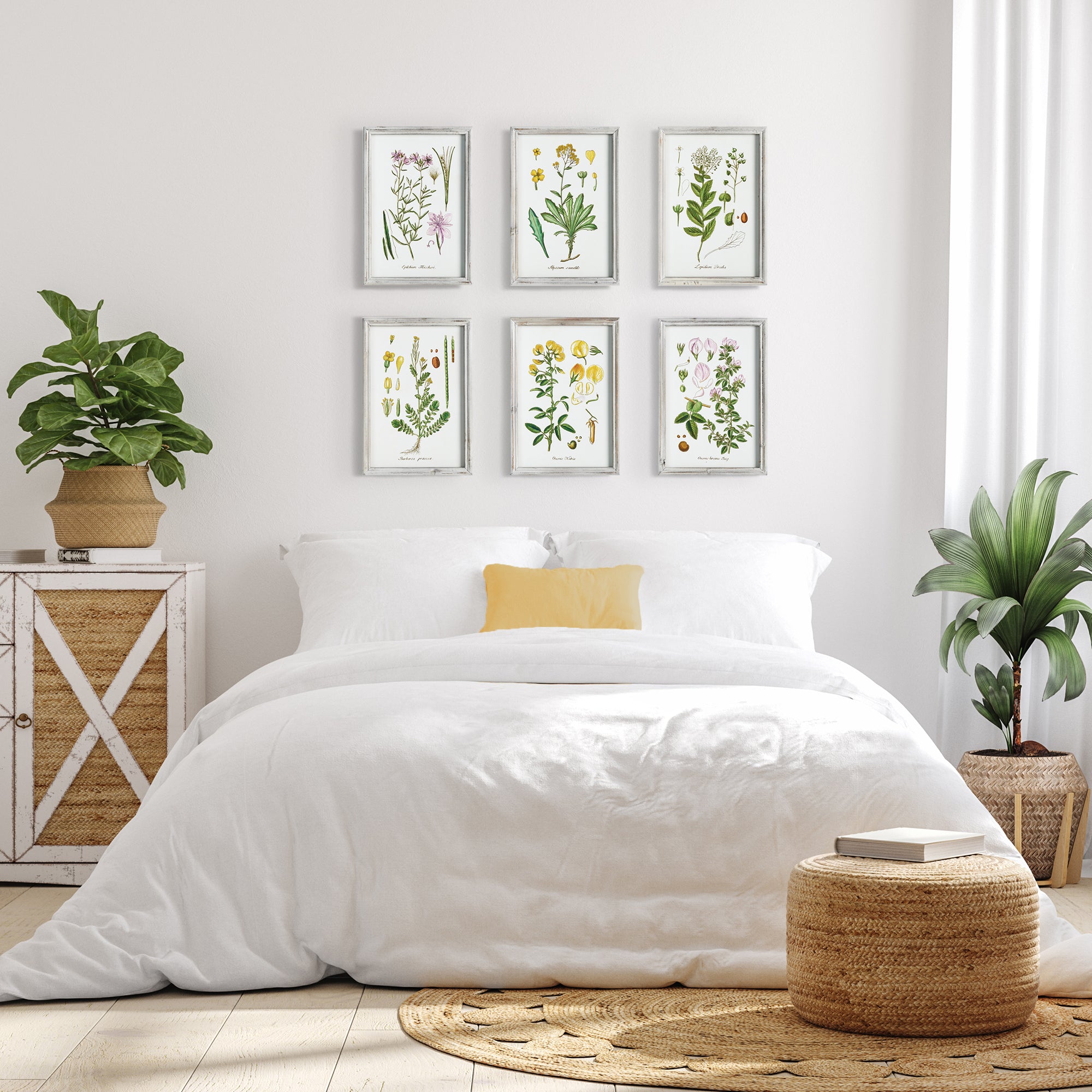 PERENNIAL BOTANICAL STUDY, SET OF 6 - view 4
