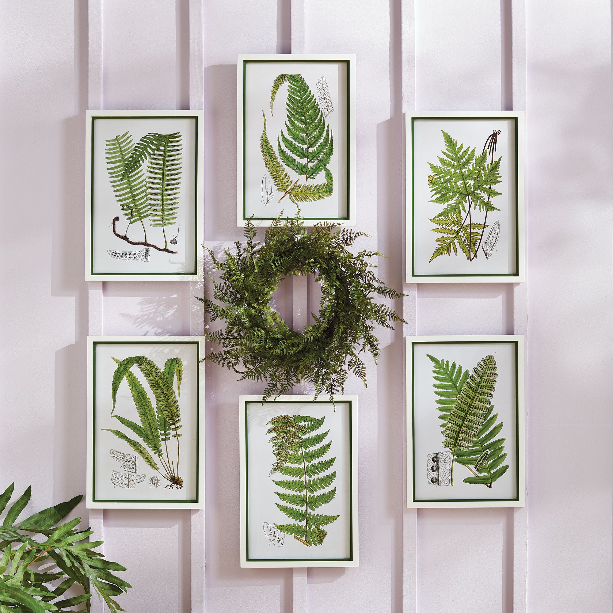 LAYERED FERN PRINTS, SET OF 6 - view 3