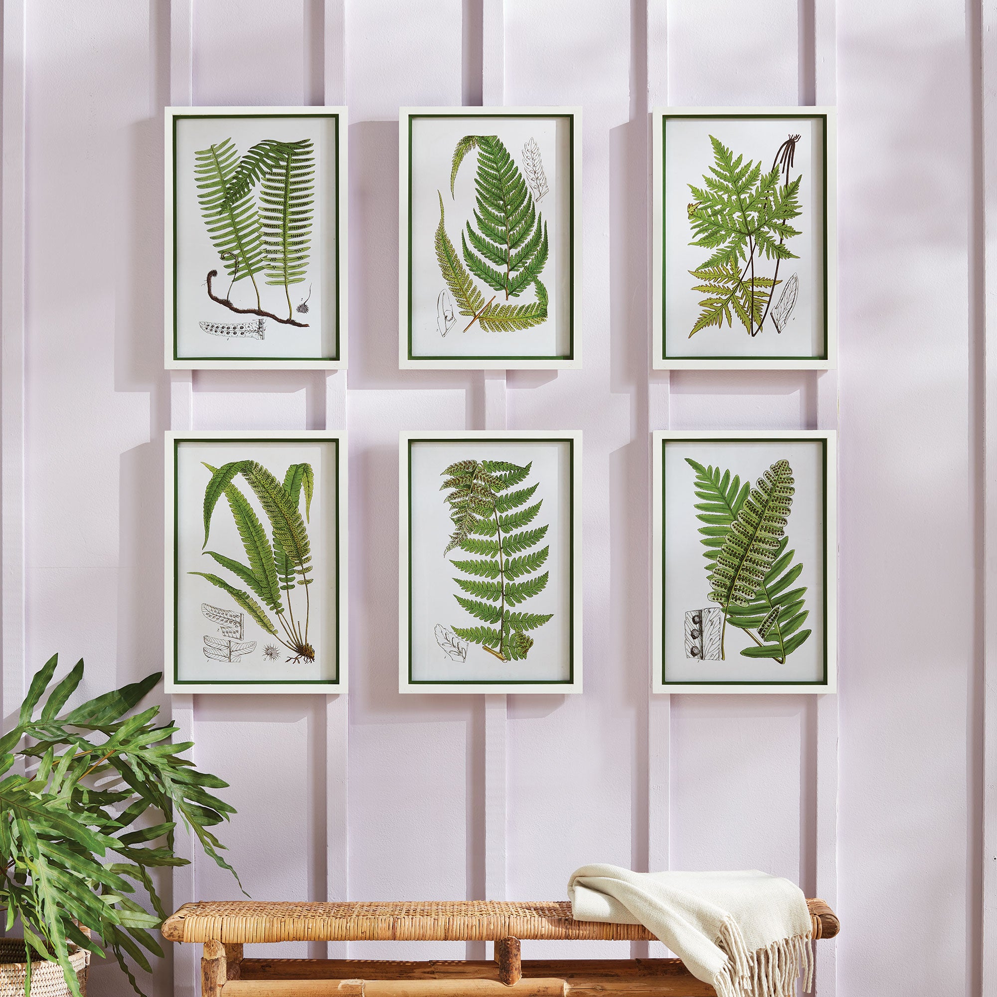 Layered Fern Prints, Set Of 6 - View 4