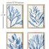 MARINE PRINTS, SET OF 4 - view 2