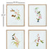 Playful Hummingbird Prints, Set Of 4 - View 3