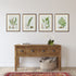 STRUCTURAL FERN STUDY, SET OF 4 - view 4