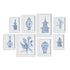 Chinoiserie Gallery, Set Of 8