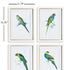 COLORFUL PARROT PRINTS, SET OF 4 - view 2