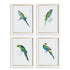 Colorful Parrot Prints, Set Of 4