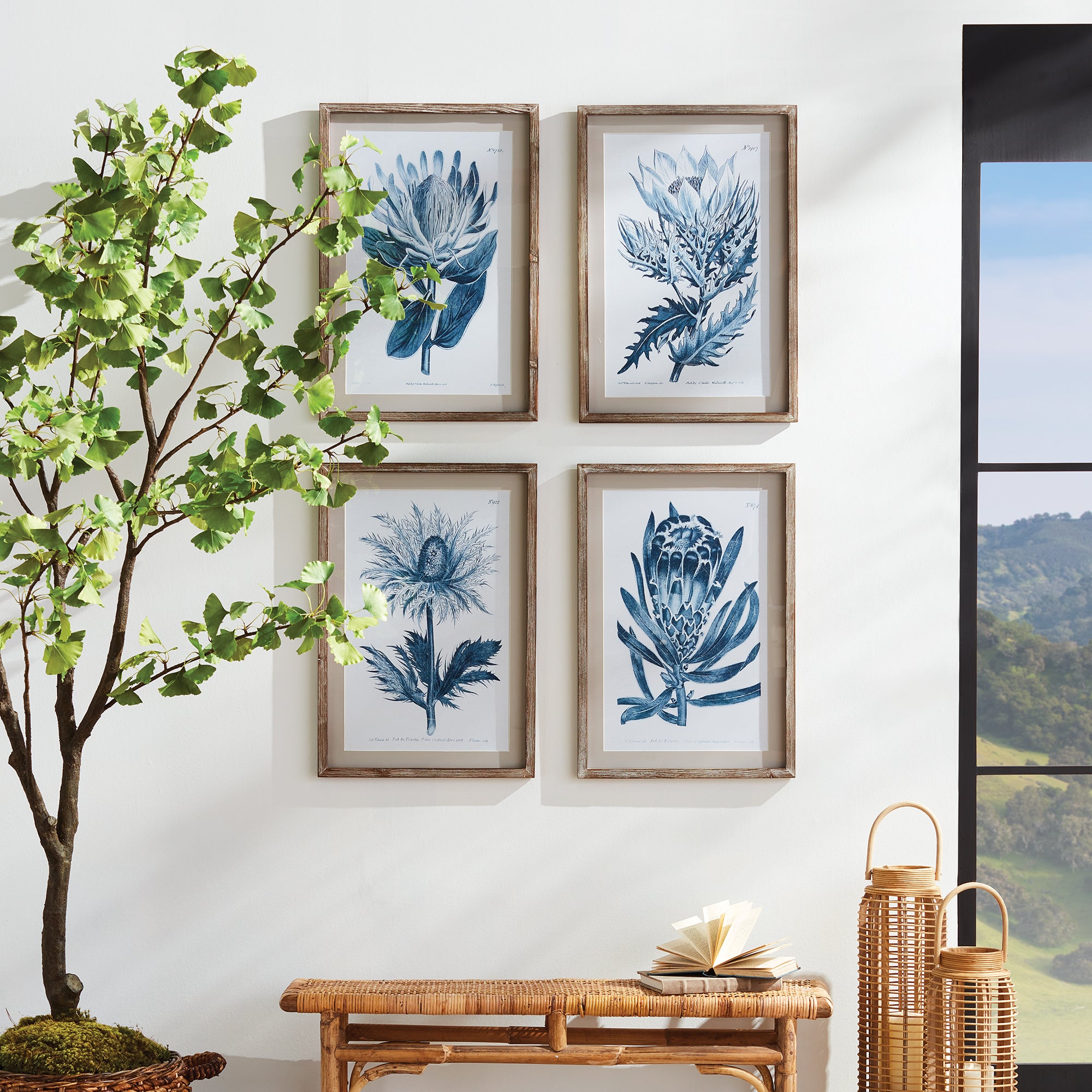 Indigo Protea Prints, Set Of 4 - View 3