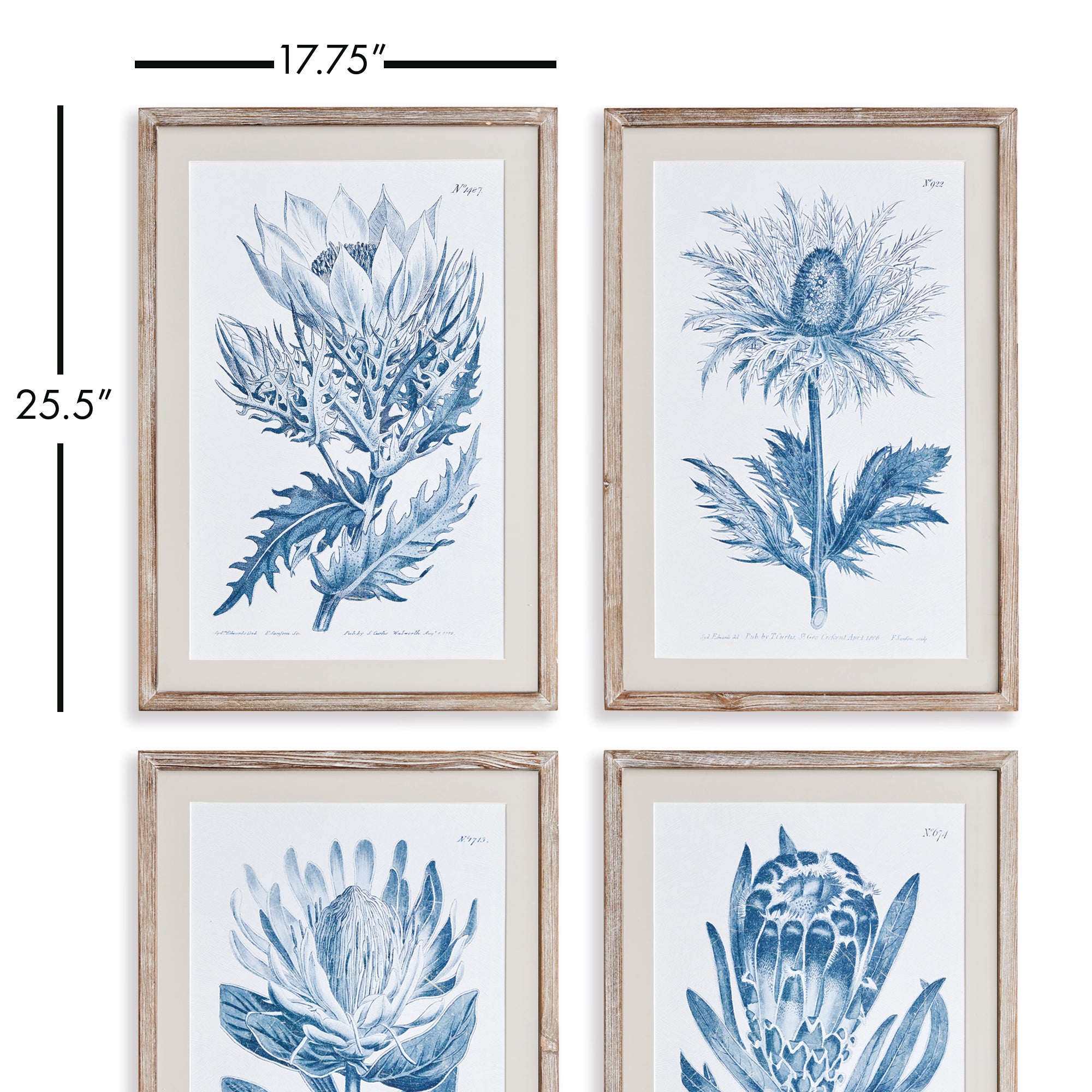 INDIGO PROTEA PRINTS, SET OF 4 - view 2
