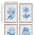 Indigo Protea Prints, Set Of 4 - View 2