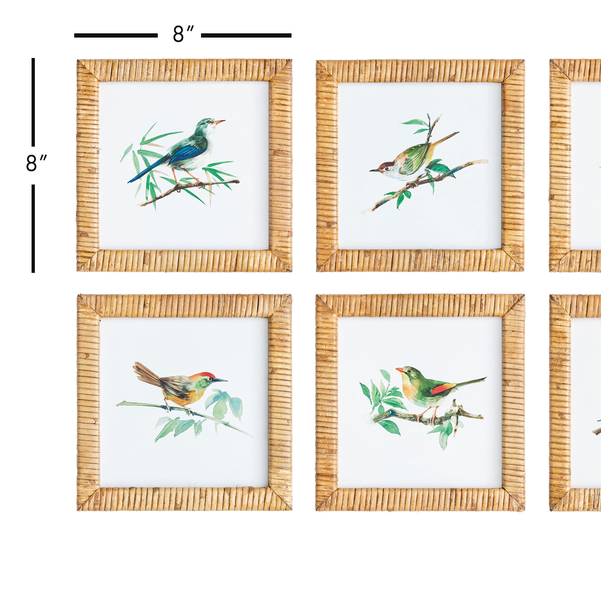 Songbird Petite Prints, Set Of 6 - View 2