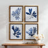 INDIGO SEAWEED PRINTS, SET OF 4 - view 3