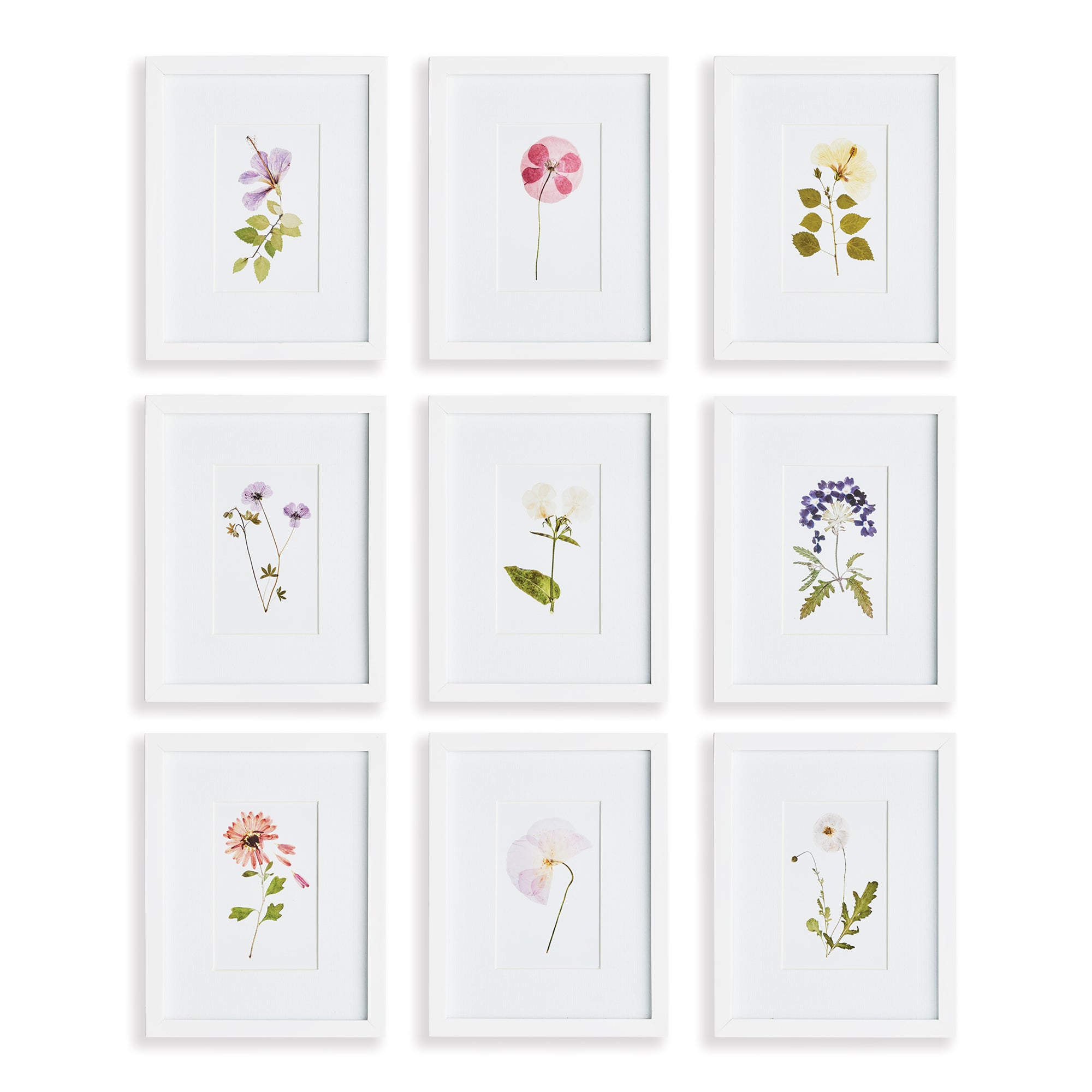 Mountain Flower Petite Prints, Set Of 9