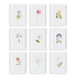 Mountain Flower Petite Prints, Set Of 9