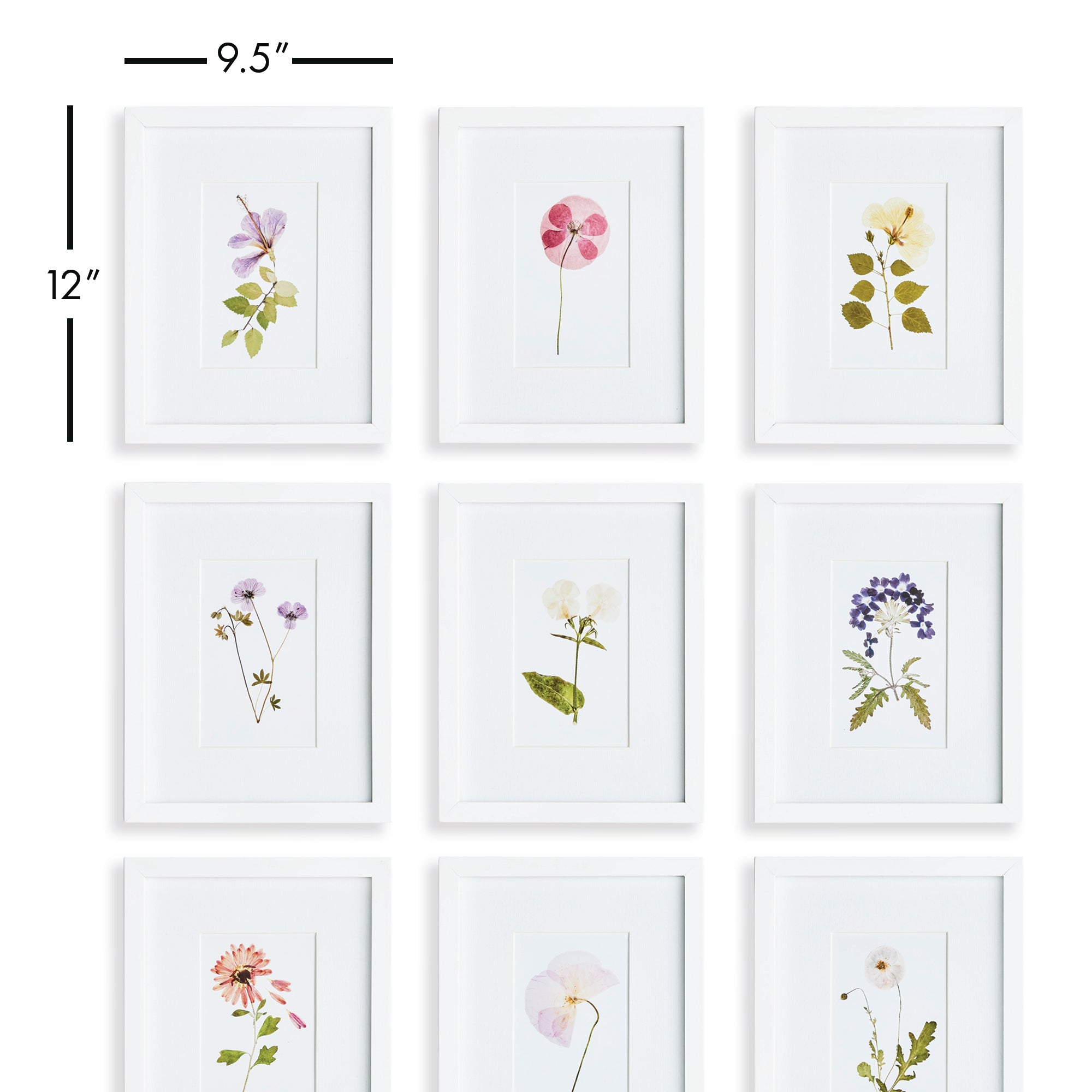 MOUNTAIN FLOWER PETITE PRINTS, SET OF 9 - view 2