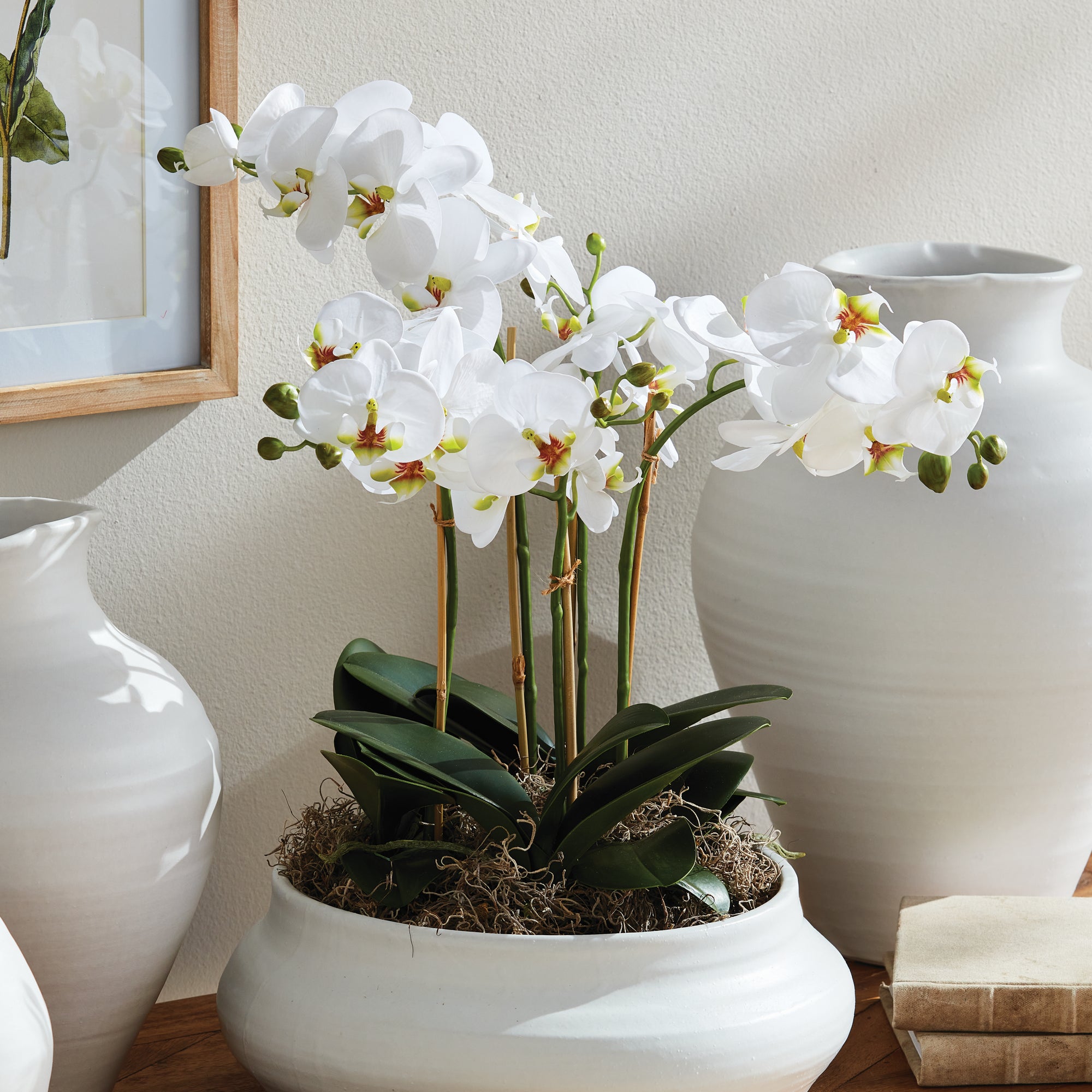 Phalaenopsis Orchid Bowl Drop-In 20" - View 2