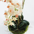 Phalaenopsis 16" Mini Garden Drop-In - View 3