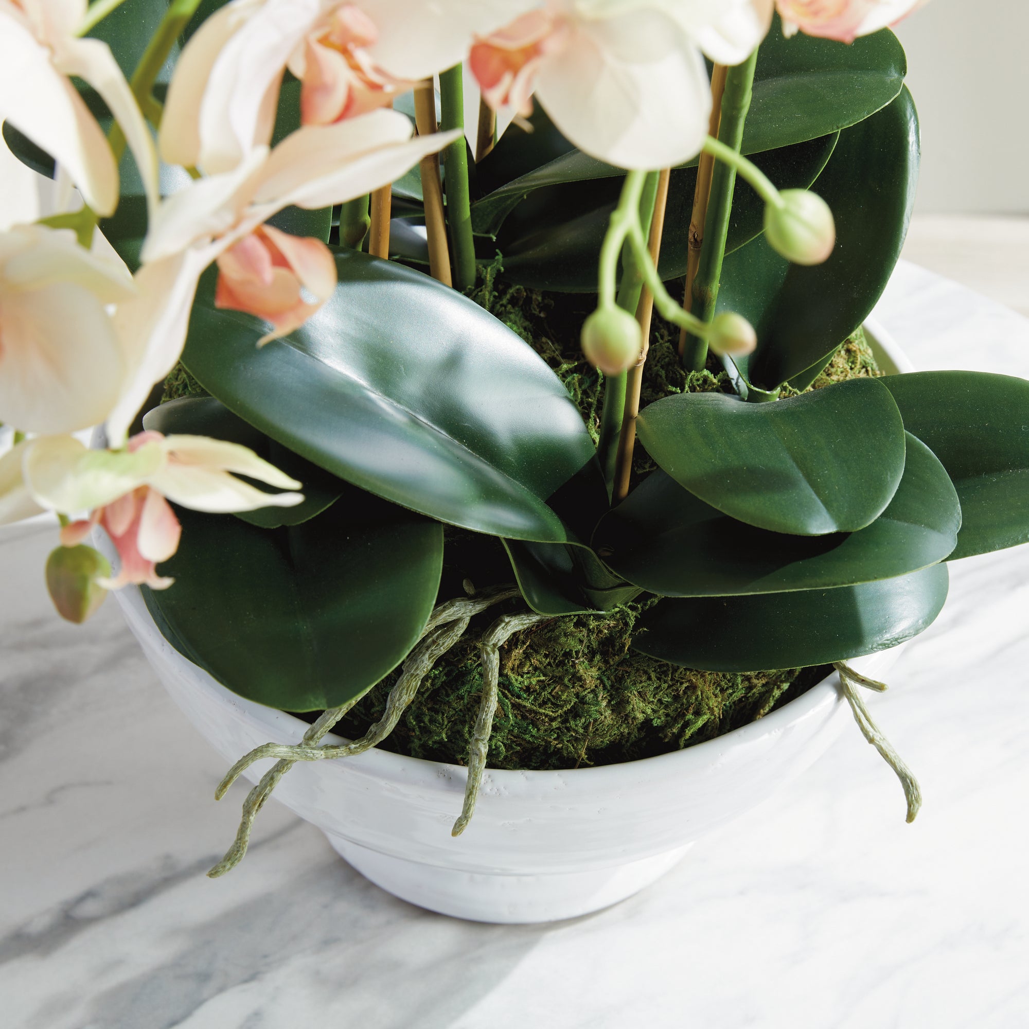 Phalaenopsis Orchid Bowl Drop-In 18.5" - View 7