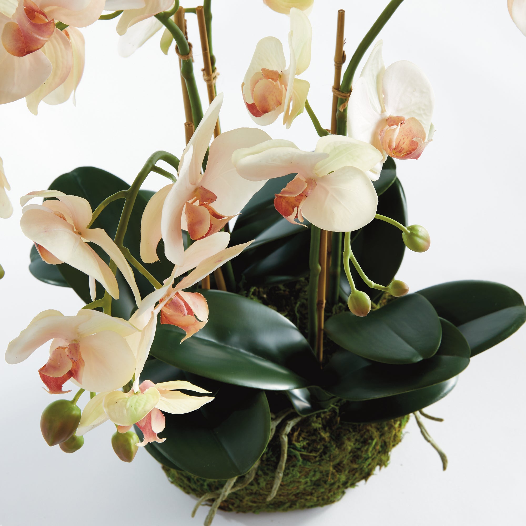 PHALAENOPSIS ORCHID BOWL DROP-IN 18.5" - view 3