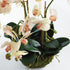 PHALAENOPSIS ORCHID BOWL DROP-IN 18.5" - view 3
